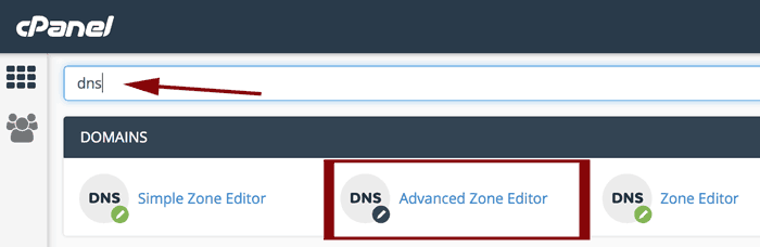 DNS search/icon