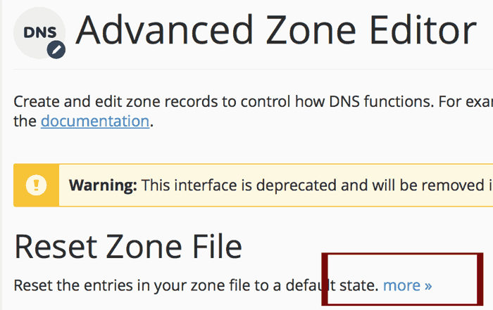 DNS advanced editor-more
