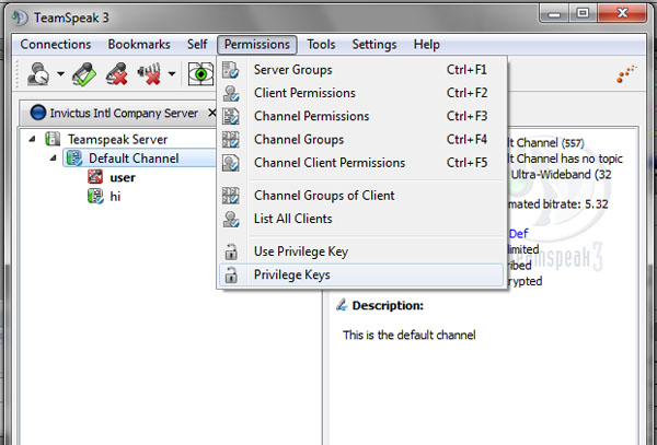 Generate New Privilege Key Teamspeak 3